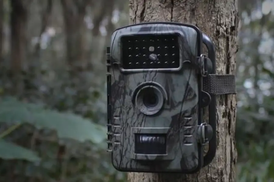 Best Trail Cameras for Game Tracking and Outdoor Exploration