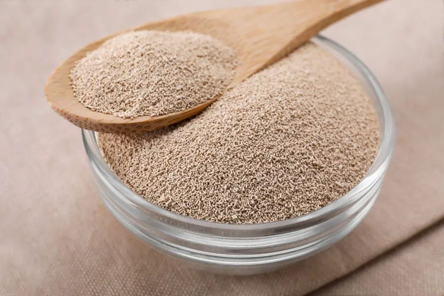 making yeast at home