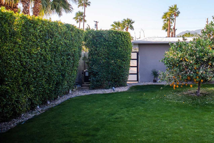 living fence