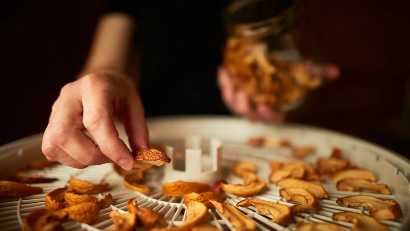 food dehydrating 